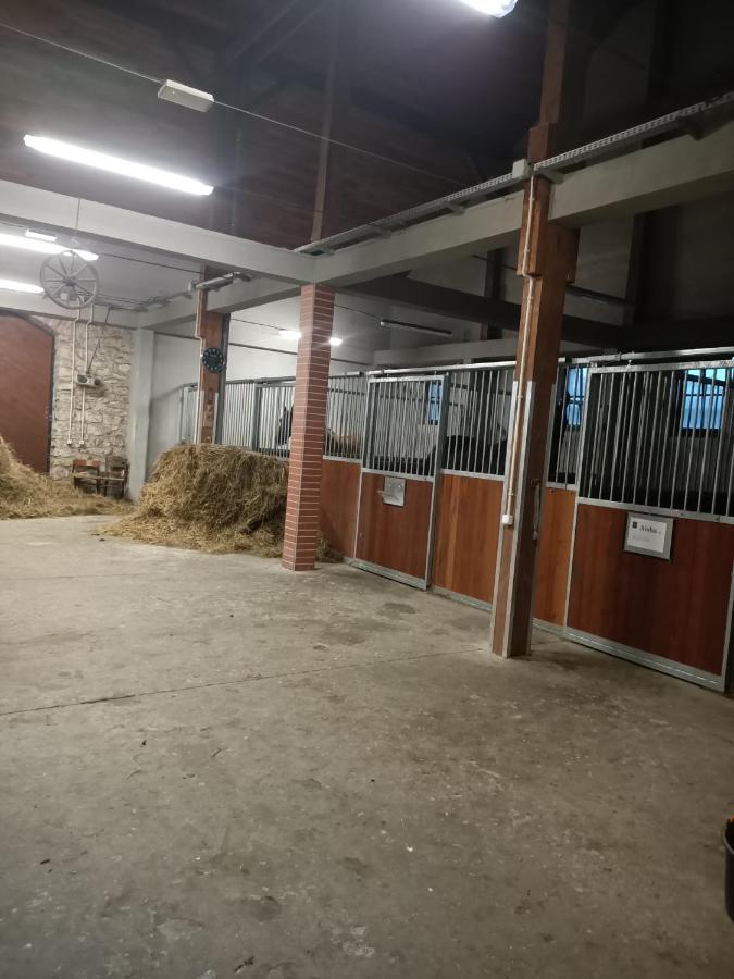 Apartament U Agaty Czernichow Krakow Zator Dış mekan fotoğraf